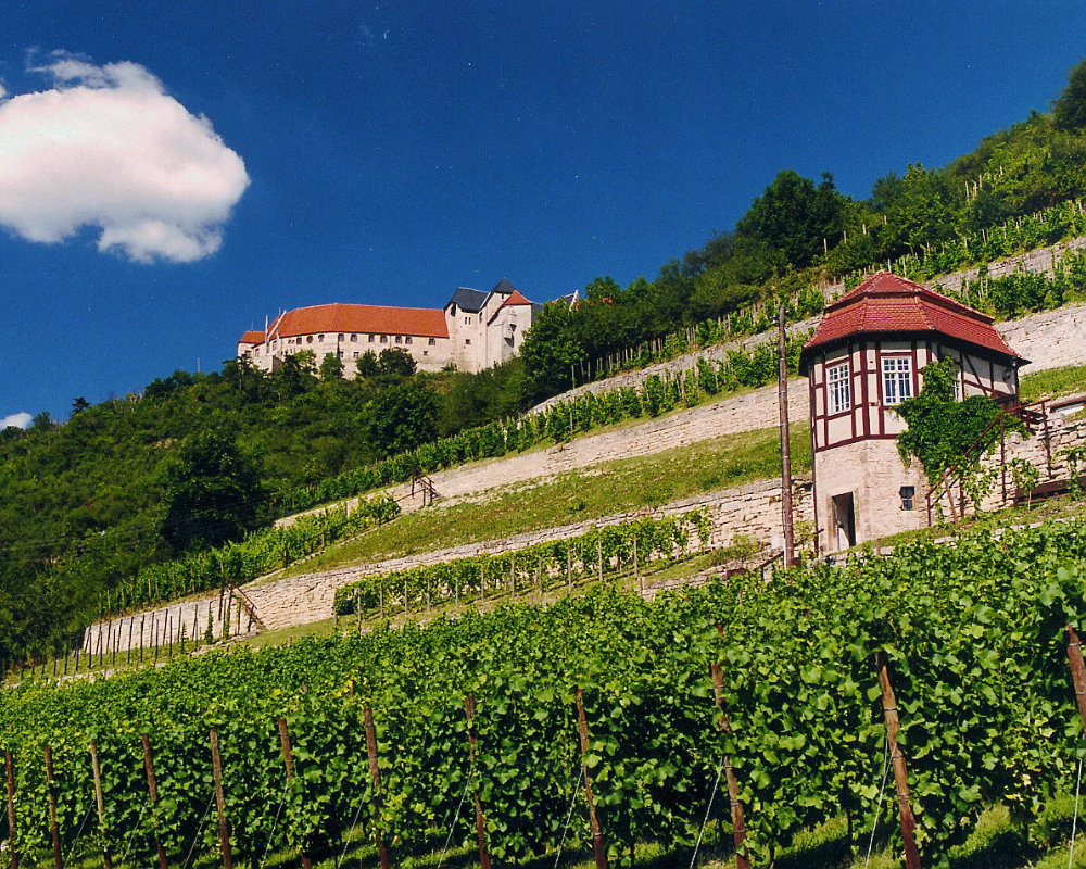 Weinberge